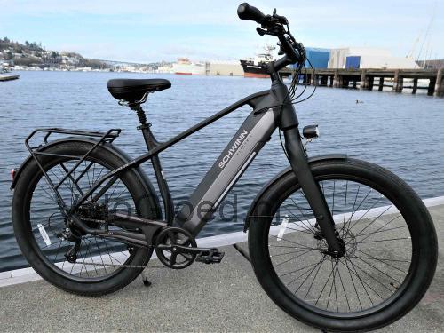 Schwinn Coston DX specificaties 